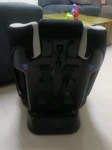 R For rabbit Car Seat