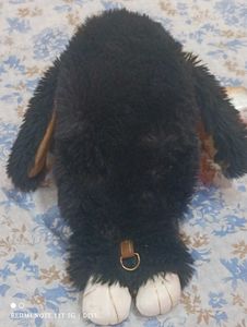 Cute Black Bunny Plush