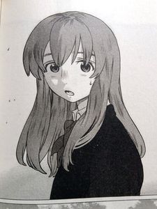 A Silent Voice &#34;Book&#34;