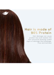 Dove Intense Repair Shampoo