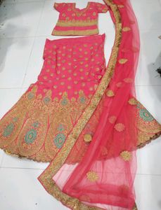 Elegant Lehenga Set