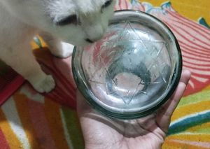 Vintage Glass Oil Lamp Font