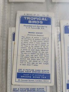 Cigrette Cards Pack Of 50