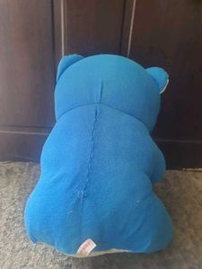 Blue Teddy Bear