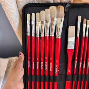 🎨 Solimo 13-Piece Oil Paint Brush Set + Premium C