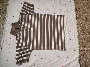 Striped Brown T-Shirt