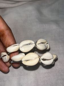 Cowrie Shell Hoop Earrings