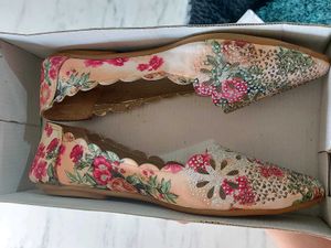 Embroidered Printed Ballerinas