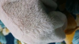 Most Beautiful Coat Peach Colour