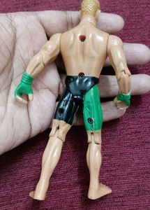 WWE Action Figures
