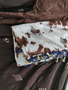 Brown Lehenga Choli Set with Dupatta