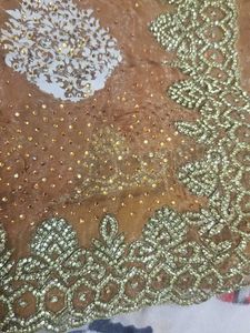 Elegant Embellished Saree