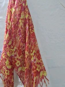 Best Dupatta 👌 BUY  In Coins 🪙