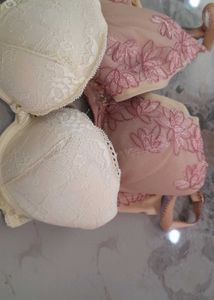 Two Beautiful Bra's
