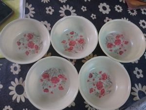 5 Plastic Bowls And A Tray