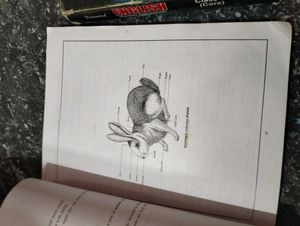 Lab Manuals With English Gold Standard 11th