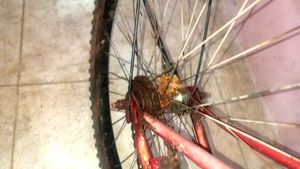 Red City Style Bike Cycle