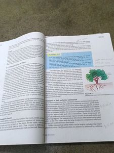 Class 10 Science Book