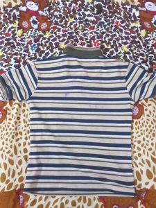 Striped Short Sleeve Polo Shirt