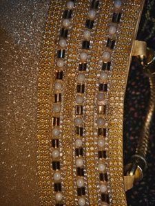 Sparkling Gold Embellished Clutch