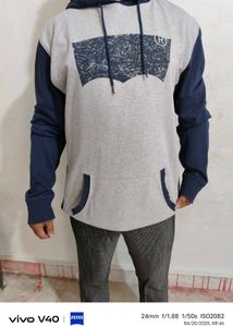 Levi&#39;s Colorblock Hoodie