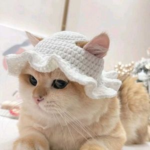 Cute Cat Hat