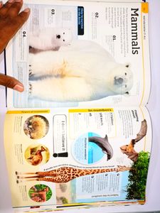 General Knowledge Genius Encyclopedia