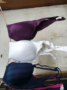 Combo 3 40B 40C Padded  Bras.
