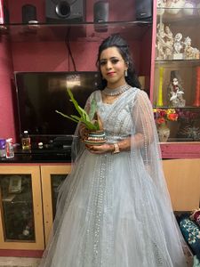 Elegant Light Blue Ethnic Gown