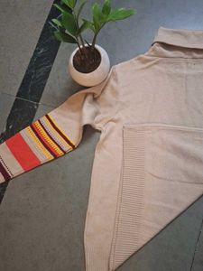 Striped Sleeve Turtleneck Sweater