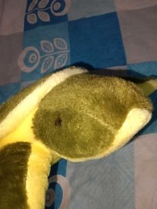Cute Plush Turtle