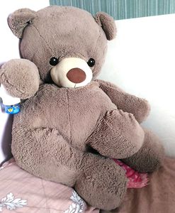 Big Broun Teddy