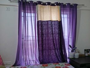 Curtain Purple🟣💜