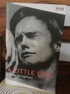A little life (Novel)