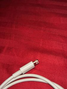Apple Lightning to USB Cable