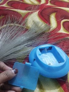 Fiber Optic showpiece