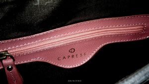 Caprese Bag (New) 80%off