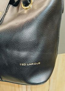 Elevate Your Elegance with Ted Lapidus.