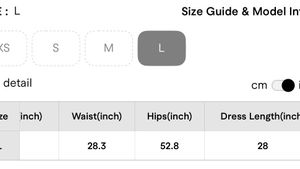 Savana Sheer A-line Dress