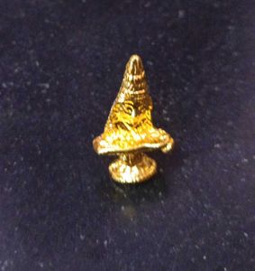 Annapurnani Swamy