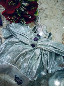 Shiny Silver Dress
