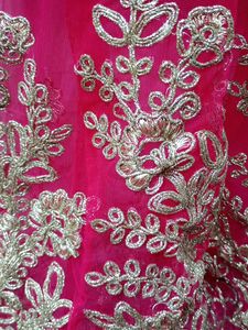 Beautiful  Pink Lehnga..