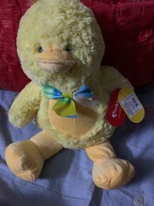 Baby Duck 💛