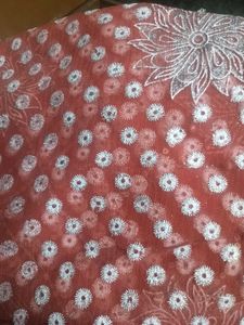 Saree With Shimmer Work