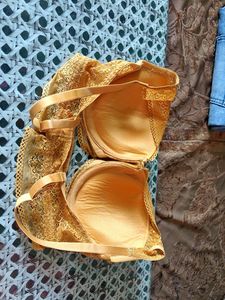 Beautiful Orange Bra With Pad