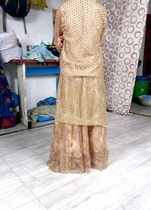 Brand New Party Wear Lehenga Long Collar Kurta