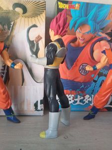 Vegeta in his Super Saiyan God form