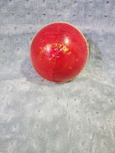 Used Cricket Ball