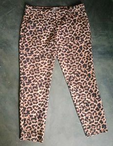 Zara Leopard Print  Pants
