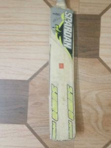 Cricket Bat